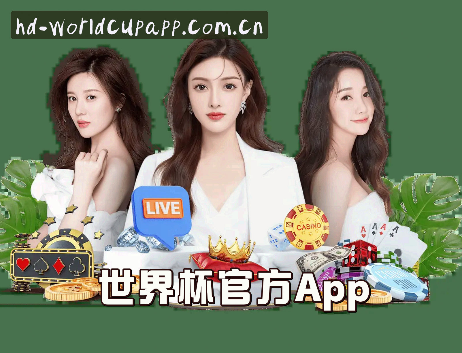 关于我们关于我们信息